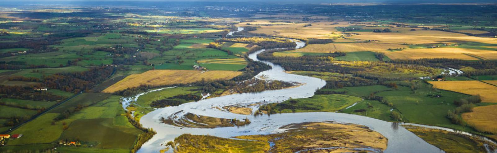 Réserve naturelle du val d'Allier : méandres, nature, visite avec un guide