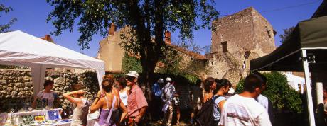 Programme des sorties dans le département de l'Allier (Auvergne)